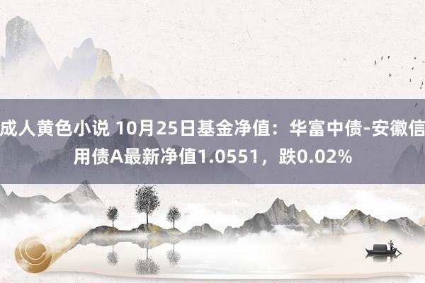 成人黄色小说 10月25日基金净值：华富中债-安徽信用债A最新净值1.0551，跌0.02%