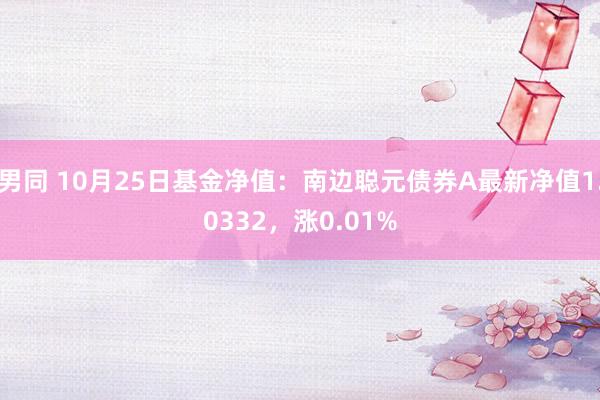 男同 10月25日基金净值：南边聪元债券A最新净值1.0332，涨0.01%