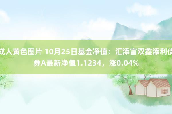 成人黄色图片 10月25日基金净值：汇添富双鑫添利债券A最新净值1.1234，涨0.04%