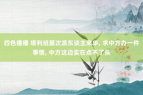 四色播播 塔利班屡次派东谈主来华， 求中方办一件事情， 中方这边实在点不了头