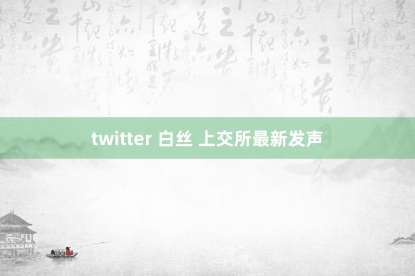 twitter 白丝 上交所最新发声