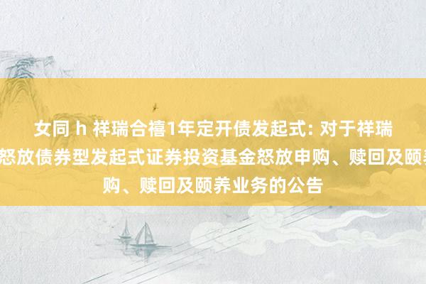 女同 h 祥瑞合禧1年定开债发起式: 对于祥瑞合禧1年依期怒放债券型发起式证券投资基金怒放申购、赎回及颐养业务的公告