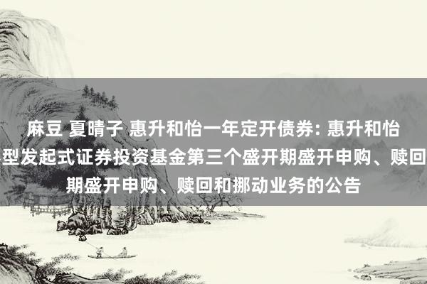 麻豆 夏晴子 惠升和怡一年定开债券: 惠升和怡一年按期盛开债券型发起式证券投资基金第三个盛开期盛开申购、赎回和挪动业务的公告