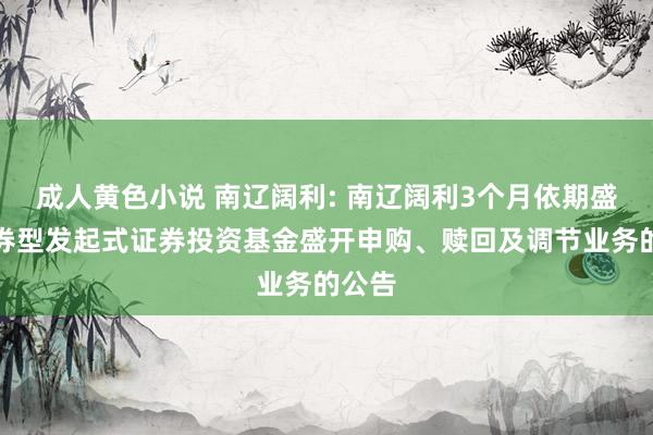 成人黄色小说 南辽阔利: 南辽阔利3个月依期盛开债券型发起式证券投资基金盛开申购、赎回及调节业务的公告