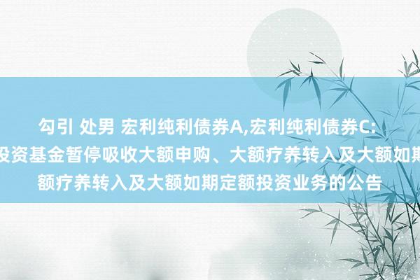 勾引 处男 宏利纯利债券A，宏利纯利债券C: 宏利纯利债券型证券投资基金暂停吸收大额申购、大额疗养转入及大额如期定额投资业务的公告