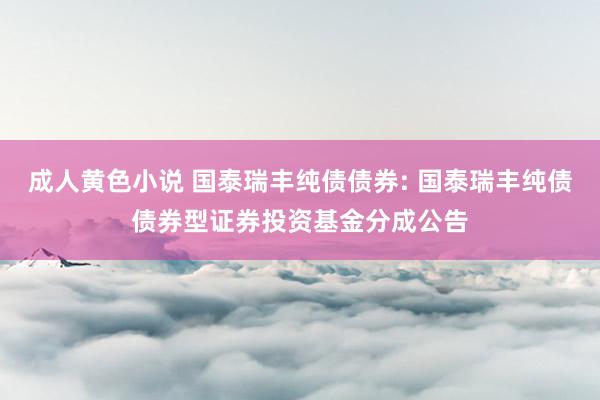 成人黄色小说 国泰瑞丰纯债债券: 国泰瑞丰纯债债券型证券投资基金分成公告