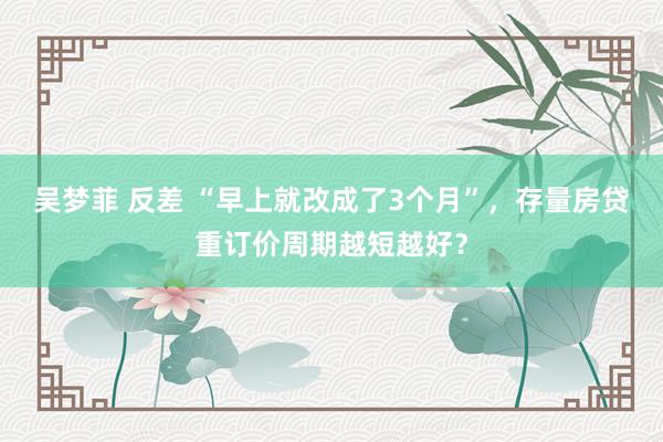 吴梦菲 反差 “早上就改成了3个月”，存量房贷重订价周期越短越好？