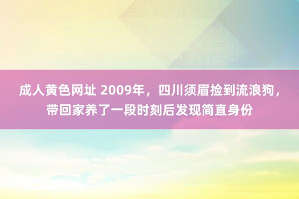 成人黄色网址 2009年，四川须眉捡到流浪狗，带回家养了一段时刻后发现简直身份