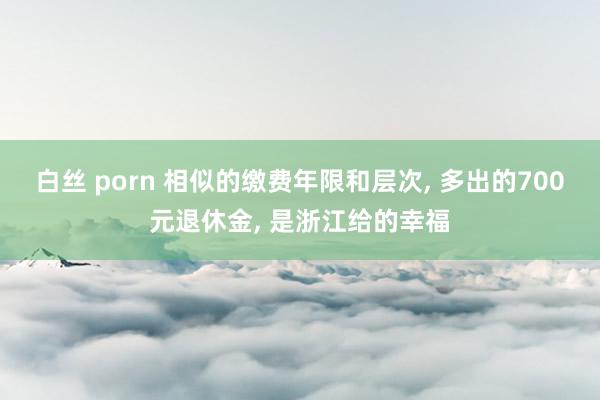 白丝 porn 相似的缴费年限和层次， 多出的700元退休金， 是浙江给的幸福