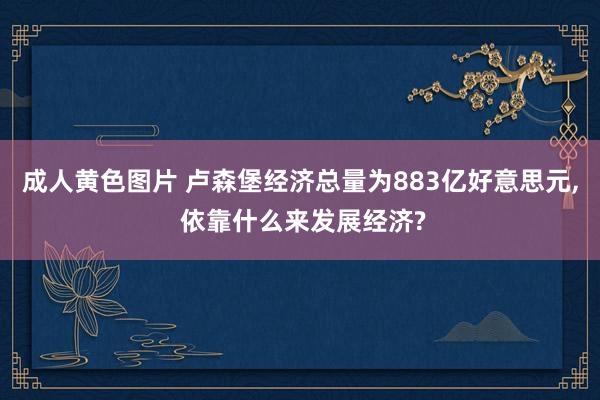 成人黄色图片 卢森堡经济总量为883亿好意思元， 依靠什么来发展经济?