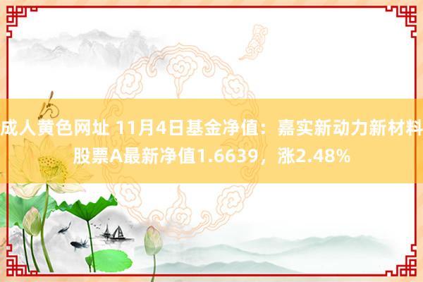 成人黄色网址 11月4日基金净值：嘉实新动力新材料股票A最新净值1.6639，涨2.48%