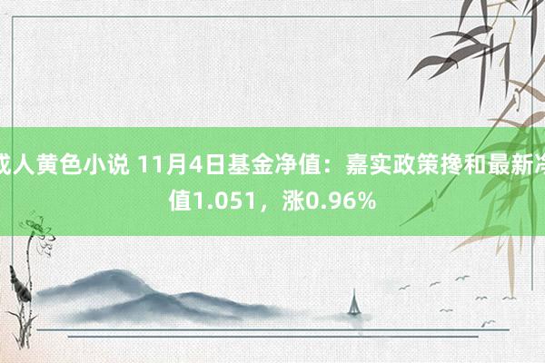 成人黄色小说 11月4日基金净值：嘉实政策搀和最新净值1.051，涨0.96%