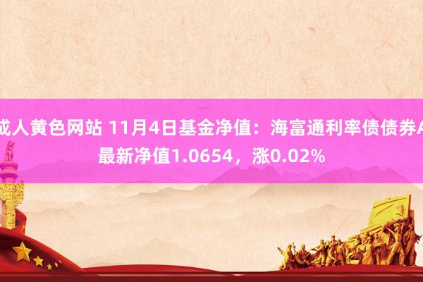 成人黄色网站 11月4日基金净值：海富通利率债债券A最新净值1.0654，涨0.02%