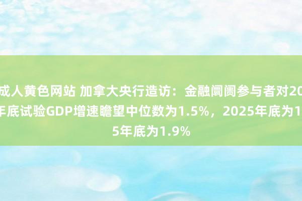 成人黄色网站 加拿大央行造访：金融阛阓参与者对2024年底试验GDP增速瞻望中位数为1.5%，2025年底为1.9%