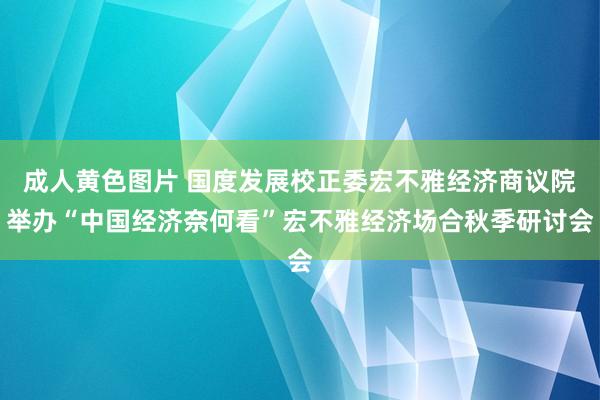 成人黄色图片 国度发展校正委宏不雅经济商议院举办“中国经济奈何看”宏不雅经济场合秋季研讨会