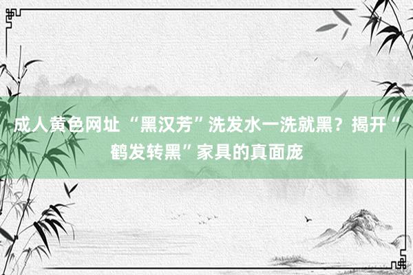 成人黄色网址 “黑汉芳”洗发水一洗就黑？揭开“鹤发转黑”家具的真面庞