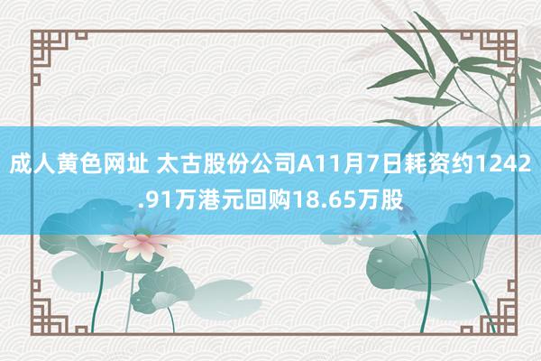 成人黄色网址 太古股份公司A11月7日耗资约1242.91万港元回购18.65万股