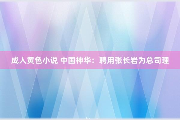 成人黄色小说 中国神华：聘用张长岩为总司理