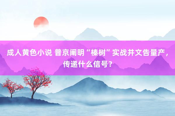 成人黄色小说 普京阐明“榛树”实战并文告量产，传递什么信号？