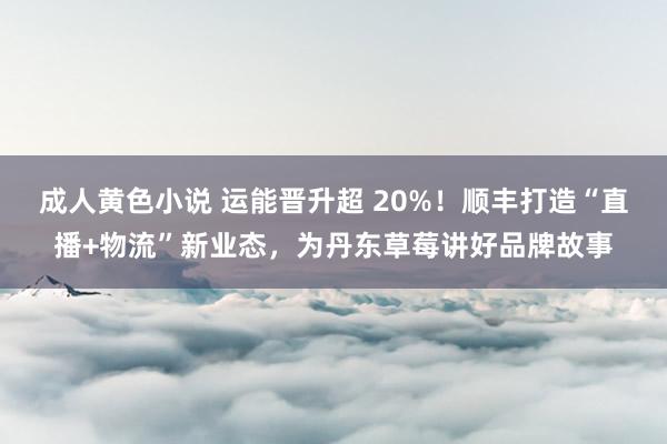 成人黄色小说 运能晋升超 20%！顺丰打造“直播+物流”新业态，为丹东草莓讲好品牌故事