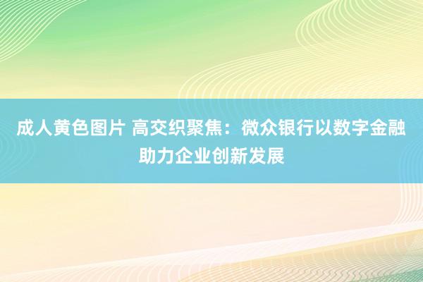 成人黄色图片 高交织聚焦：微众银行以数字金融助力企业创新发展