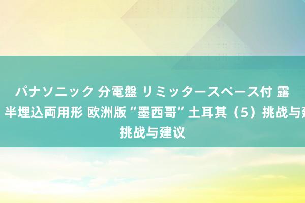 パナソニック 分電盤 リミッタースペース付 露出・半埋込両用形 欧洲版“墨西哥”土耳其（5）挑战与建议