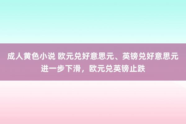 成人黄色小说 欧元兑好意思元、英镑兑好意思元进一步下滑，欧元兑英镑止跌