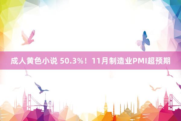 成人黄色小说 50.3%！11月制造业PMI超预期