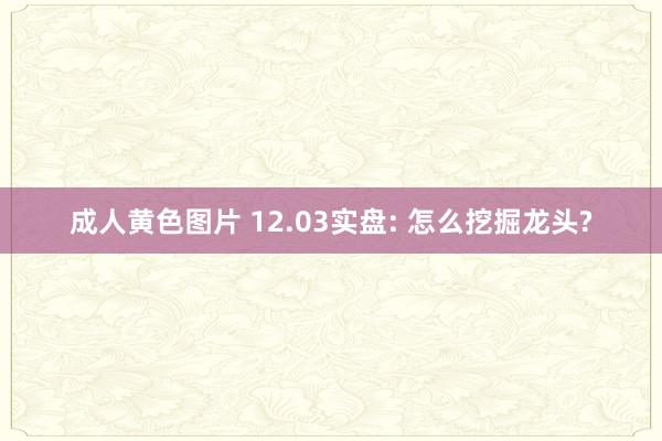 成人黄色图片 12.03实盘: 怎么挖掘龙头?