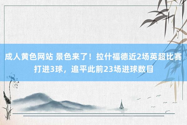 成人黄色网站 景色来了！拉什福德近2场英超比赛打进3球，追平此前23场进球数目