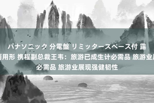 パナソニック 分電盤 リミッタースペース付 露出・半埋込両用形 携程副总裁王韦：旅游已成生计必需品 旅游业展现强健韧性