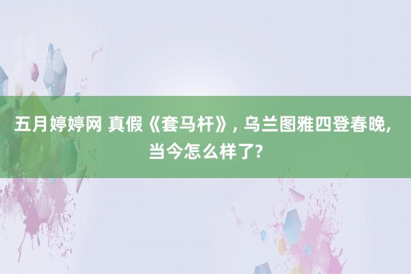 五月婷婷网 真假《套马杆》， 乌兰图雅四登春晚， 当今怎么样了?