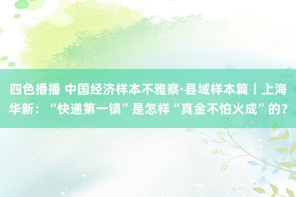 四色播播 中国经济样本不雅察·县域样本篇丨上海华新：“快递第一镇”是怎样“真金不怕火成”的？