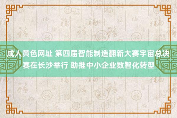 成人黄色网址 第四届智能制造翻新大赛宇宙总决赛在长沙举行 助推中小企业数智化转型