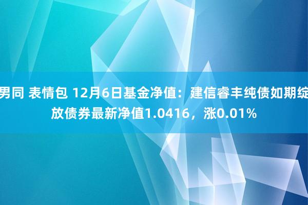 男同 表情包 12月6日基金净值：建信睿丰纯债如期绽放债券最新净值1.0416，涨0.01%