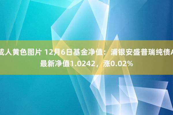 成人黄色图片 12月6日基金净值：浦银安盛普瑞纯债A最新净值1.0242，涨0.02%