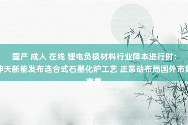 国产 成人 在线 锂电负极材料行业降本进行时：坤天新能发布连合式石墨化炉工艺 正策动布局国外市集