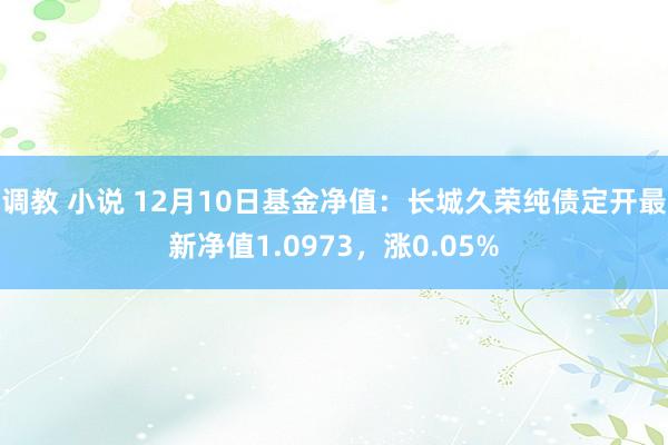 调教 小说 12月10日基金净值：长城久荣纯债定开最新净值1.0973，涨0.05%