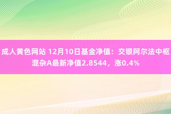 成人黄色网站 12月10日基金净值：交银阿尔法中枢混杂A最新净值2.8544，涨0.4%