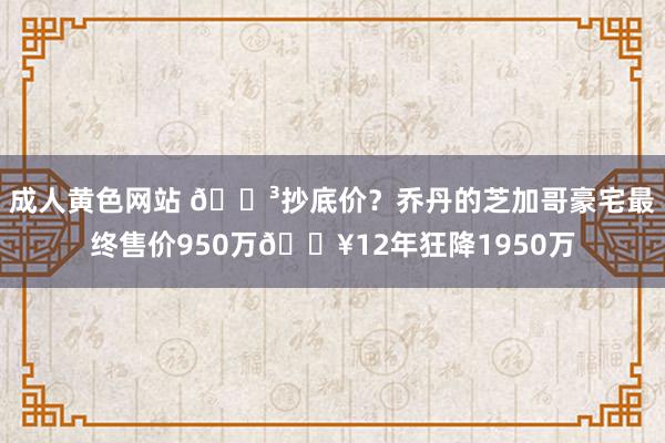 成人黄色网站 😳抄底价？乔丹的芝加哥豪宅最终售价950万💥12年狂降1950万