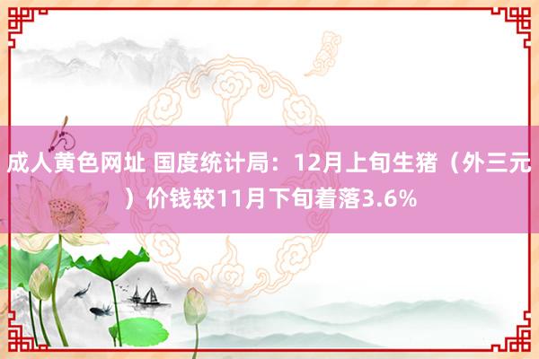 成人黄色网址 国度统计局：12月上旬生猪（外三元）价钱较11月下旬着落3.6%