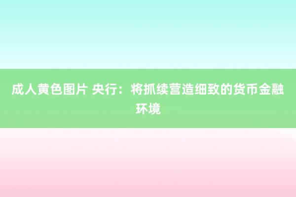 成人黄色图片 央行：将抓续营造细致的货币金融环境