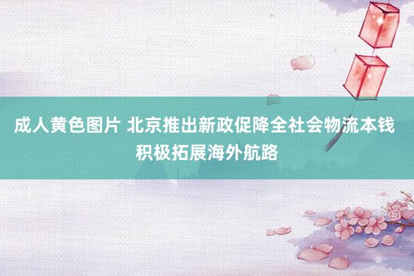 成人黄色图片 北京推出新政促降全社会物流本钱 积极拓展海外航路