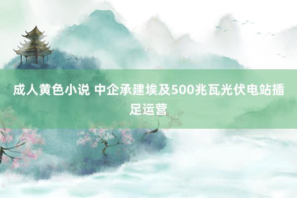 成人黄色小说 中企承建埃及500兆瓦光伏电站插足运营