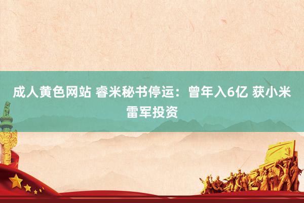 成人黄色网站 睿米秘书停运：曾年入6亿 获小米雷军投资