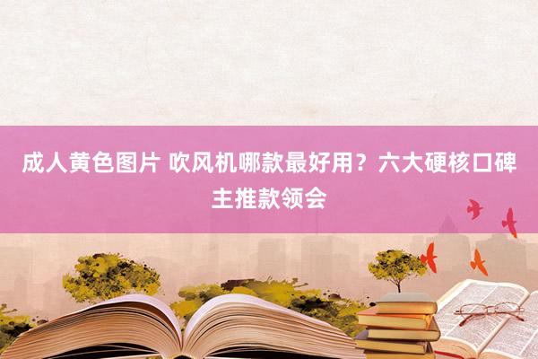 成人黄色图片 吹风机哪款最好用？六大硬核口碑主推款领会