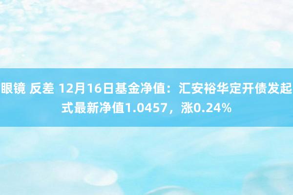 眼镜 反差 12月16日基金净值：汇安裕华定开债发起式最新净值1.0457，涨0.24%