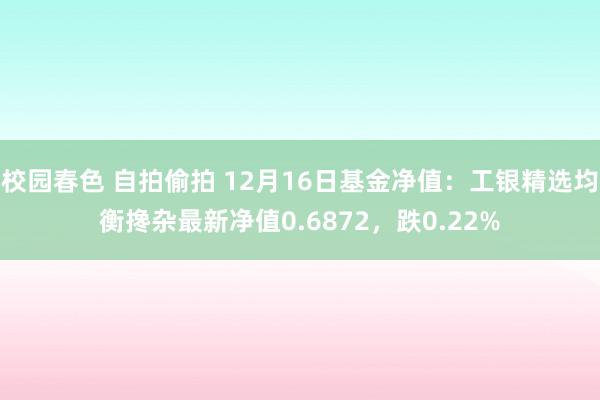 校园春色 自拍偷拍 12月16日基金净值：工银精选均衡搀杂最新净值0.6872，跌0.22%