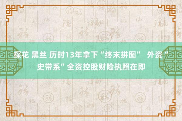 探花 黑丝 历时13年拿下“终末拼图”  外资“史带系”全资控股财险执照在即