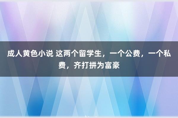 成人黄色小说 这两个留学生，一个公费，一个私费，齐打拼为富豪